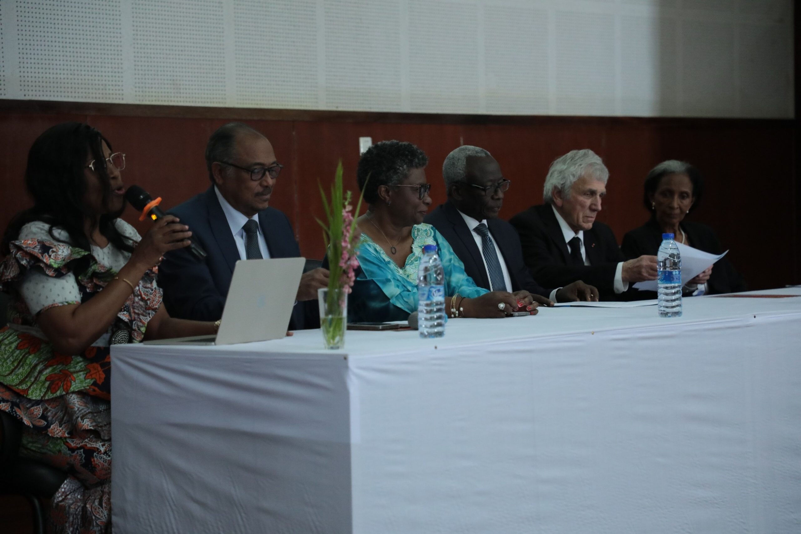 Dr. Meskerem Bekele Grunitzy, member of the Board of Trustees for the Society for AIDS in Africa and former Regional Director for UNAIDS West and Central Africa gave the concluding remarks